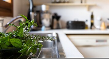 Blue Greens Villas in Krios, Paros Island