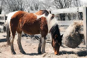 Doran Farm & Wedding Venue