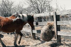 Doran Farm & Wedding Venue