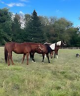 Doran Farm & Wedding Venue