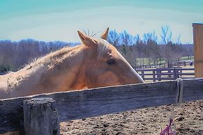 Doran Farm & Wedding Venue