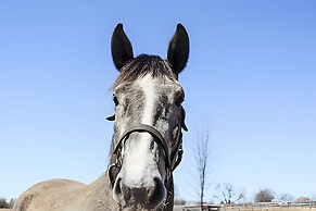 Doran Farm & Wedding Venue