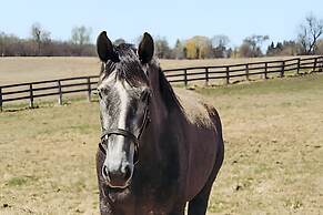 Doran Farm & Wedding Venue