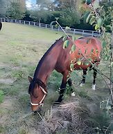 Doran Farm & Wedding Venue