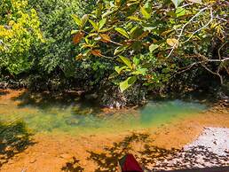 Glamping Río Claro
