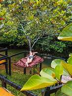 Glamping Río Claro