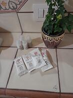 Domus Gelsomino, St Peter's Square, Vatican, Central Rome