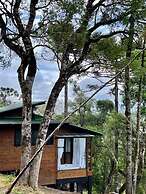 Vale Dourado Cabanas