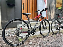 SEVEN TREES BY AOKIKO