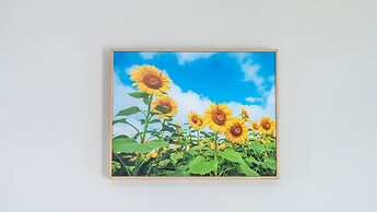 Gapyeong Yeonkkocchosu Pet Pension