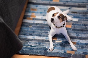 Queen Apartment Zadar