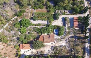 Holiday Home Blossom -