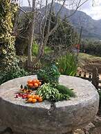 Mylopetra Four Seasons Traditional House