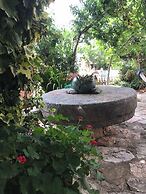 Mylopetra Four Seasons Traditional House