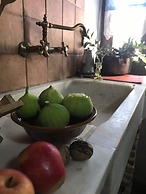 Mylopetra Four Seasons Traditional House