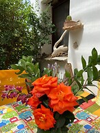 Mylopetra Four Seasons Traditional House