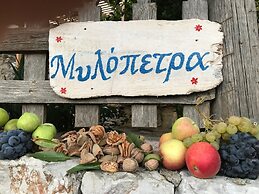 Mylopetra Four Seasons Traditional House