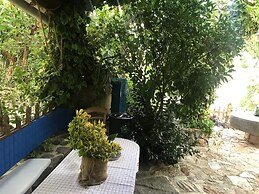 Mylopetra Four Seasons Traditional House