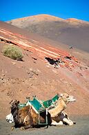 Villa Calma 1B in Playa Blanca