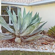 Su Casa - XXL Pool Area Pool Spa 3 Bedroom 2 Bath