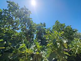 Jere: Modern and Near the sea - H