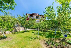 Grga - 300m to the sea - A2