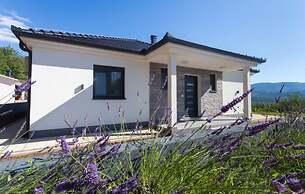 Marijana - Modern With Pool - H