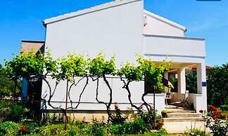 Nick - With Barbecue - A1