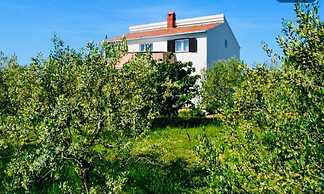 Nick - With Barbecue - A1