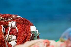 Nera - 10 m From Beach - A2