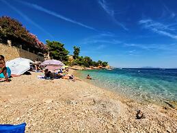 Dino - Gorgeous Garden - A2 Hvar