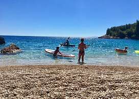 Dino - Gorgeous Garden - A3 Island