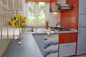 Dino - Gorgeous Garden - A3 Island