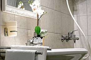 Dino - Gorgeous Garden - SA1 Zavala