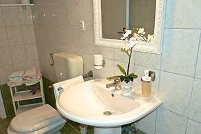 Dino - Gorgeous Garden - SA1 Zavala