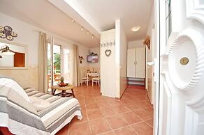 Dino - Gorgeous Garden - SA1 Zavala