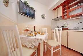 Dino - Gorgeous Garden - SA1 Zavala