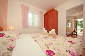 Dino - Gorgeous Garden - SA1 Zavala