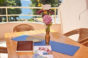 Dino - Gorgeous Garden - SA1 Zavala