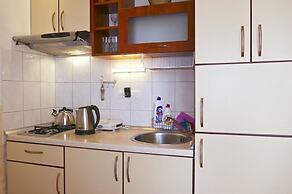 Dino - Gorgeous Garden - SA1 Zavala