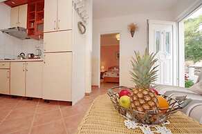 Dino - Gorgeous Garden - SA1 Zavala