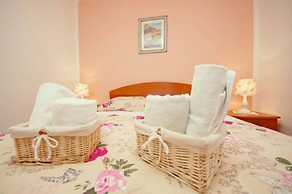 Dino - Gorgeous Garden - SA1 Zavala