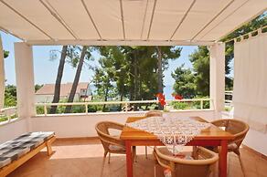 Dino - Gorgeous Garden - SA1 Zavala