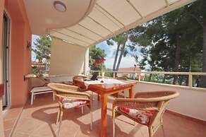 Dino - Gorgeous Garden - SA1 Zavala