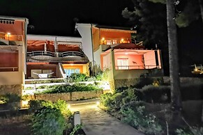 Dino - Gorgeous Garden - SA1 Zavala