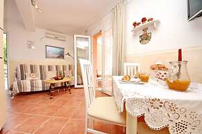 Dino - Gorgeous Garden - SA1 Zavala