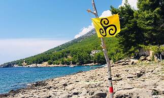 Dino - Gorgeous Garden - SA1 Zavala