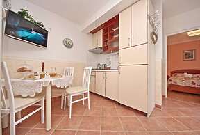 Dino - Gorgeous Garden - SA1 Zavala