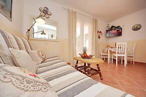 Dino - Gorgeous Garden - SA1 Zavala