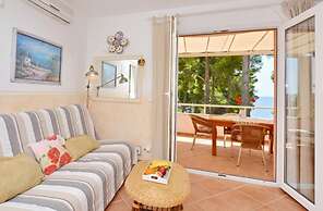 Dino - Gorgeous Garden - SA1 Zavala